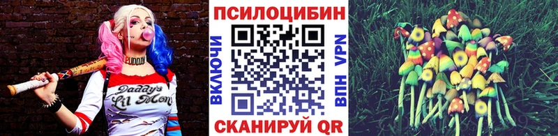 Псилоцибиновые грибы MAGIC MUSHROOMS  Цимлянск 